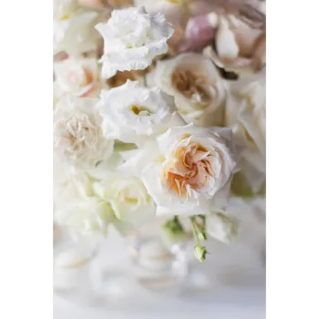 White Cut Flowers
